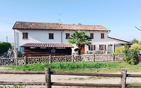 Le Vigne